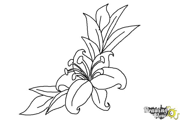 Coloring Page