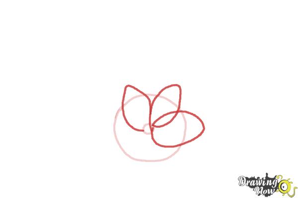 How to Draw a Beautiful Flower - Step 2 How to Draw a Beautiful Flower - Step 2