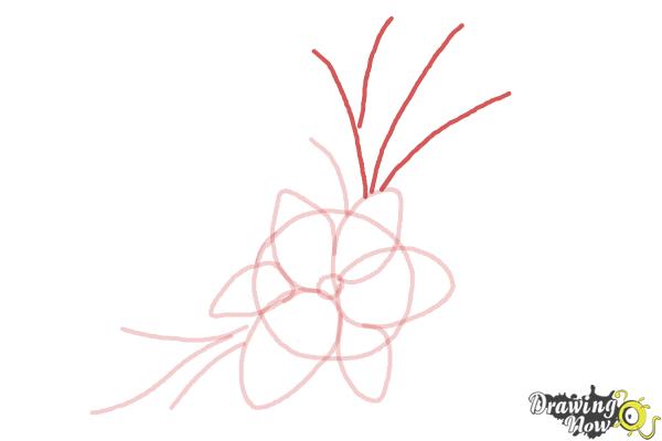 How to Draw a Beautiful Flower - Step 5 How to Draw a Beautiful Flower - Step 5