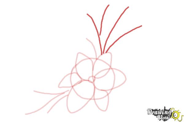 How to Draw a Beautiful Flower - Step 5