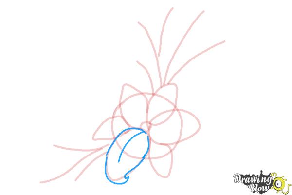 How to Draw a Beautiful Flower - Step 6 How to Draw a Beautiful Flower - Step 6