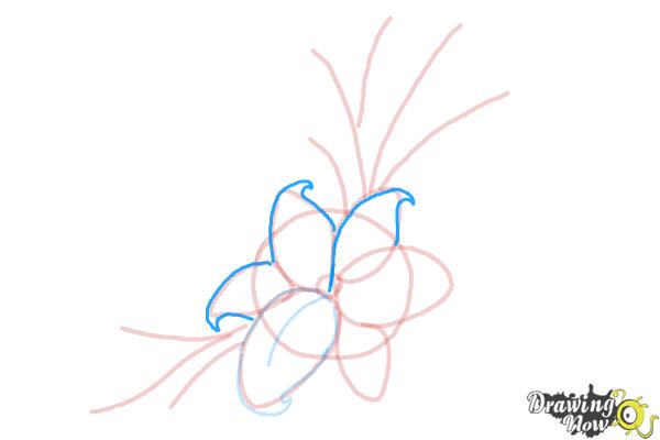 How to Draw a Beautiful Flower - Step 7