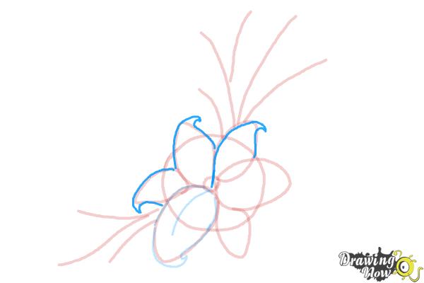 How to Draw a Beautiful Flower - Step 7 How to Draw a Beautiful Flower - Step 7