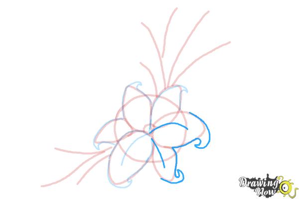 How to Draw a Beautiful Flower - Step 8 How to Draw a Beautiful Flower - Step 8