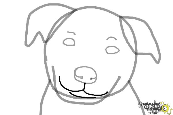 How to Draw a Dog Face - Step 5