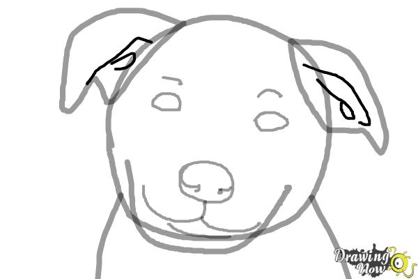 How to Draw a Dog Face - Step 6