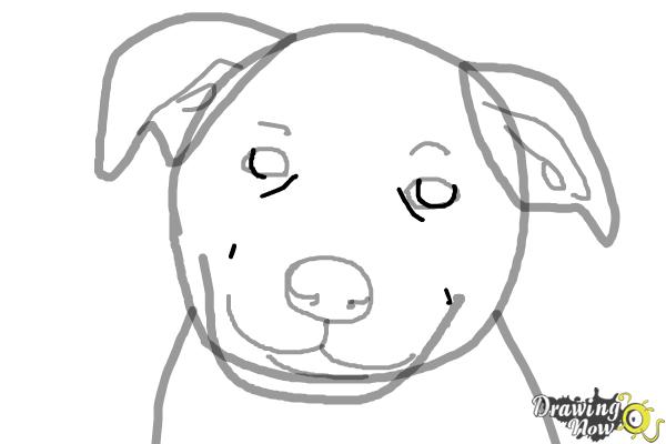 How to Draw a Dog Face - Step 7