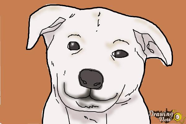 How to Draw a Cute Puppy Face Step by Step  Art for kids  CC  YouTube