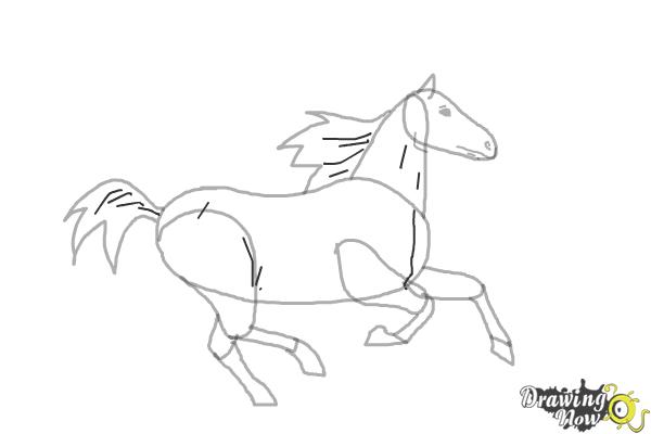 How to Draw a Horse Running - Step 8