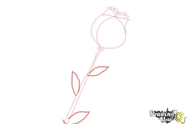 How to Draw a Rose For Kids - Step 5