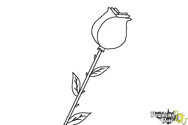 Coloring Page