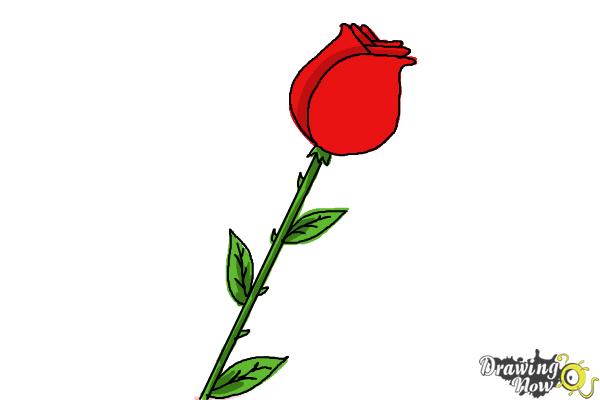How to Draw a Rose For Kids - Step 7 How to Draw a Rose For Kids - Step 7