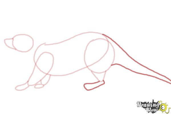 How to Draw an Otter - DrawingNow