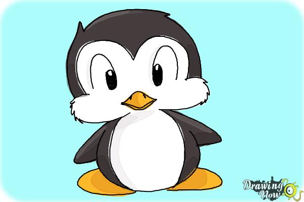 How to Draw a Cartoon Penguin - DrawingNow