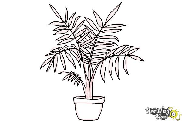 How to Draw Plants - Step 10