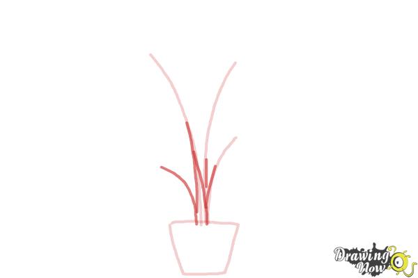 How to Draw Plants - DrawingNow