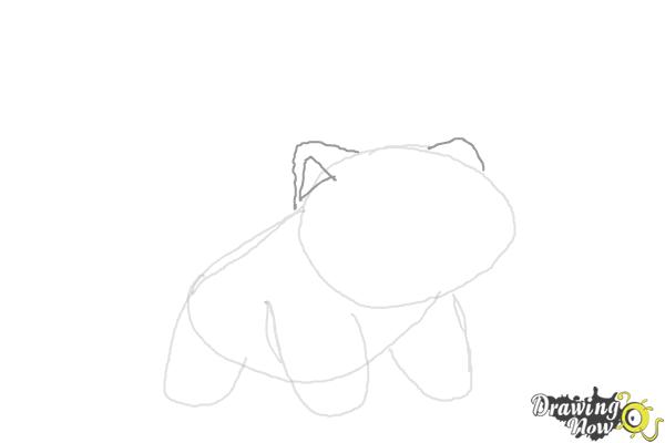 How to Draw Ivysaur - Step 4 How to Draw Ivysaur - Step 4
