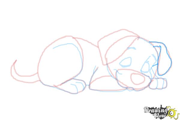How to Draw a Puppy Step by Step - Step 10