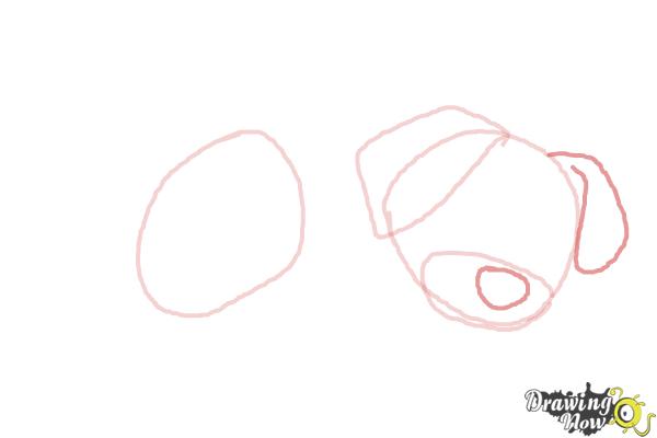 How to Draw a Puppy Step by Step - Step 3