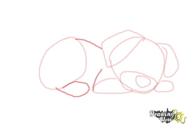 How to Draw a Puppy Step by Step - Step 5