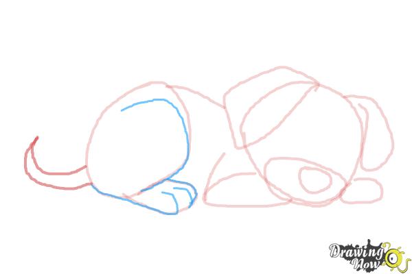 How to Draw a Puppy Step by Step - Step 6