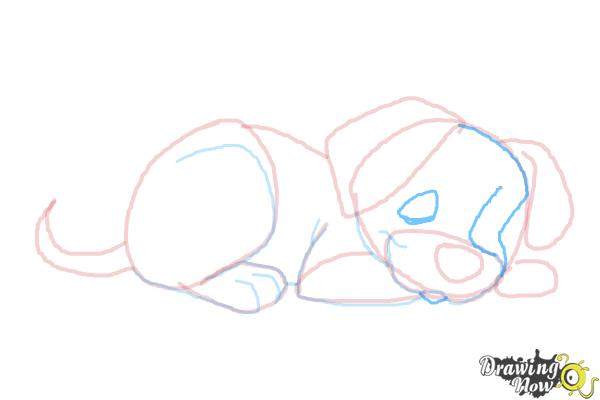 How to Draw a Puppy Step by Step - Step 8