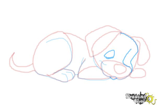 How to Draw a Puppy Step by Step - Step 8 How to Draw a Puppy Step by Step - Step 8