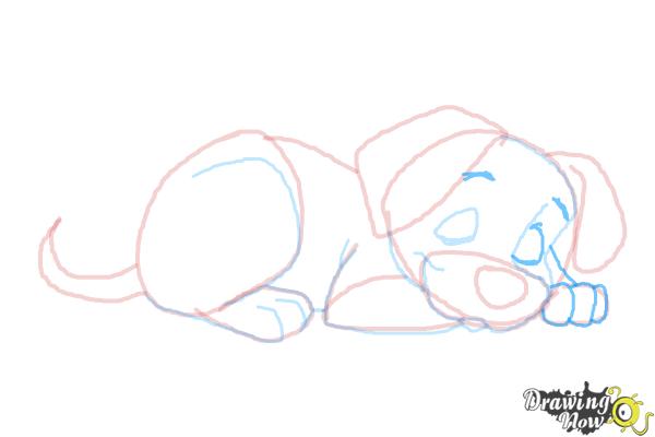 How to Draw a Puppy Step by Step - Step 9