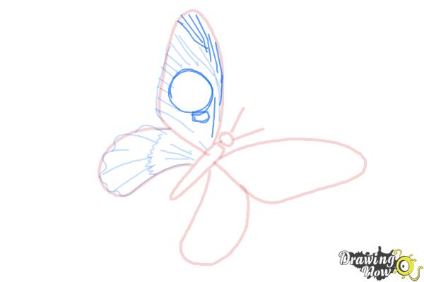 How to Draw a Skull Butterfly - Step 10