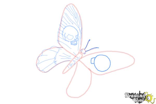 How to Draw a Skull Butterfly - Step 12