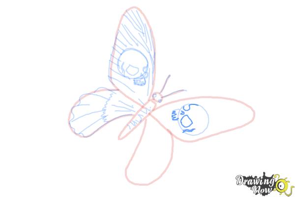 How to Draw a Skull Butterfly - Step 13