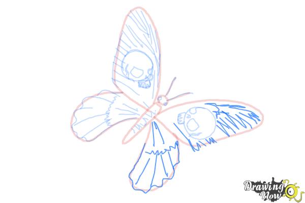 How to Draw a Skull Butterfly - Step 14