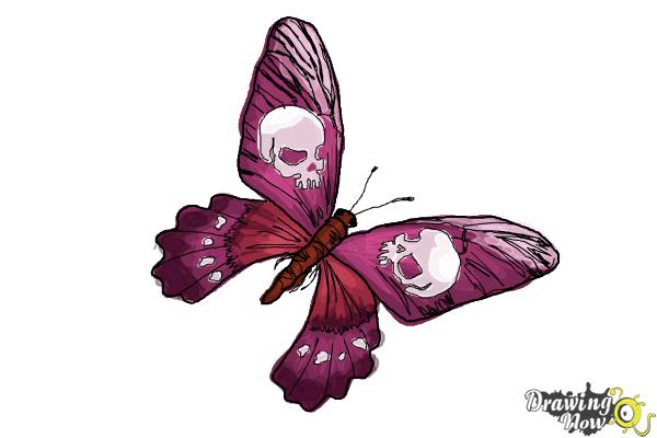 How to Draw a Skull Butterfly - Step 16