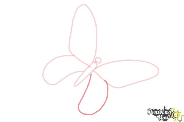 How to Draw a Skull Butterfly - Step 5