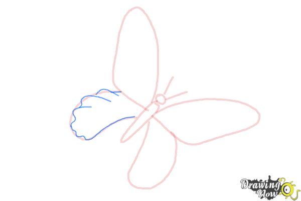 How to Draw a Skull Butterfly - Step 7
