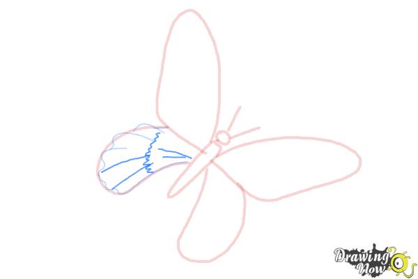 How to Draw a Skull Butterfly - Step 8