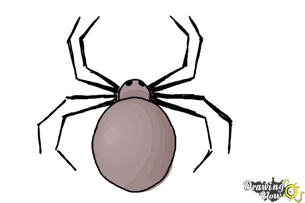 How to Draw a Simple Spider - Step 10