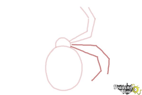 How to Draw a Simple Spider - Step 5