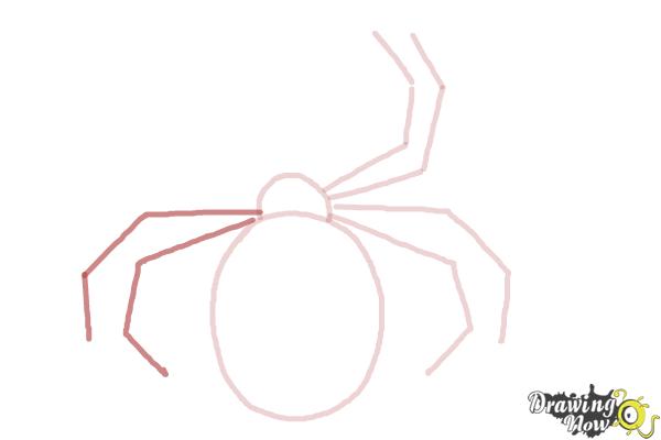 How to Draw a Simple Spider - Step 6