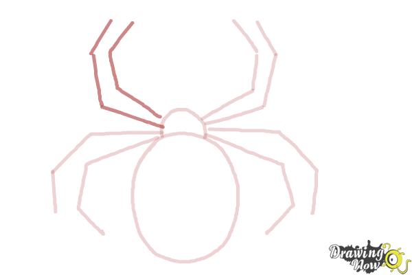 How to Draw a Simple Spider - Step 7