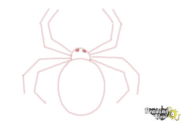 How to Draw a Simple Spider - Step 8