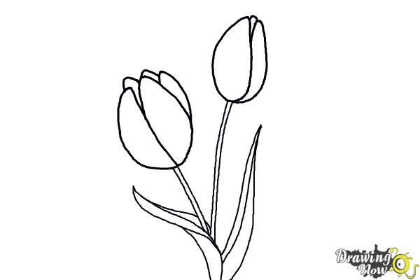 Coloring Page