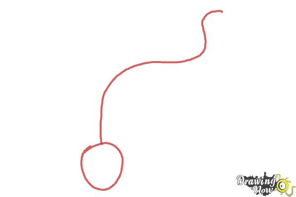 How to Draw a Salamander - Step 1 How to Draw a Salamander - Step 1