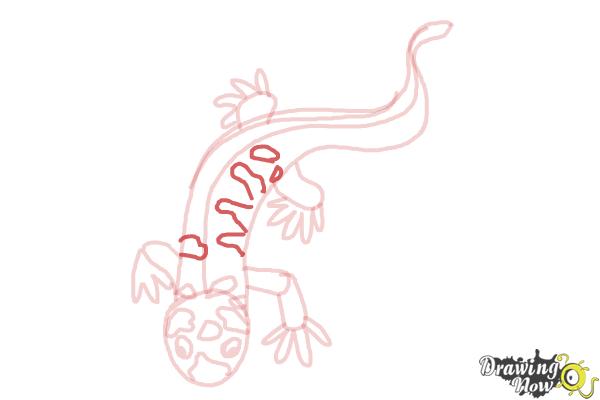 How to Draw a Salamander - Step 10 How to Draw a Salamander - Step 10