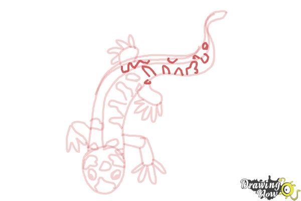 How to Draw a Salamander - Step 11