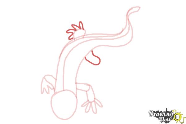 How to Draw a Salamander - Step 6