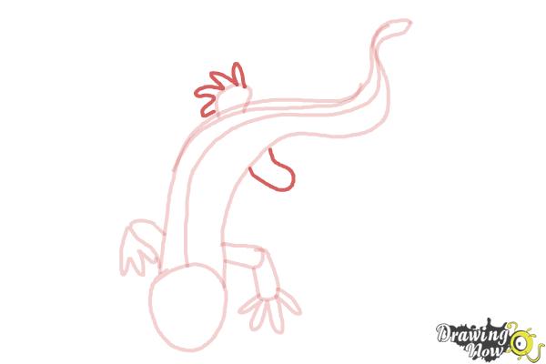 How to Draw a Salamander - Step 6 How to Draw a Salamander - Step 6
