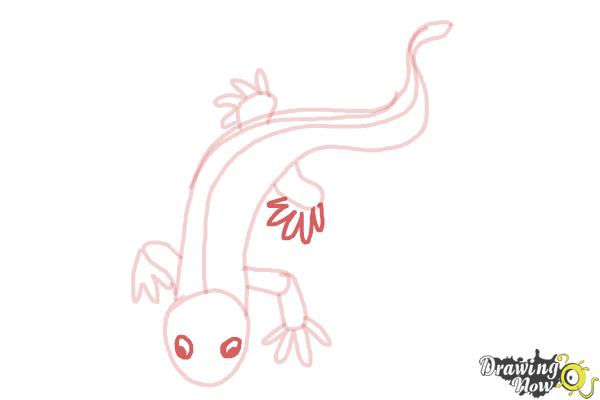 How to Draw a Salamander - Step 7
