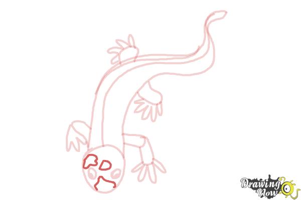 How to Draw a Salamander - Step 8 How to Draw a Salamander - Step 8
