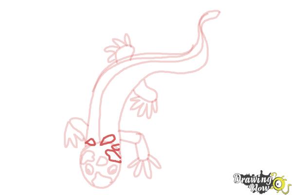 How to Draw a Salamander - Step 9